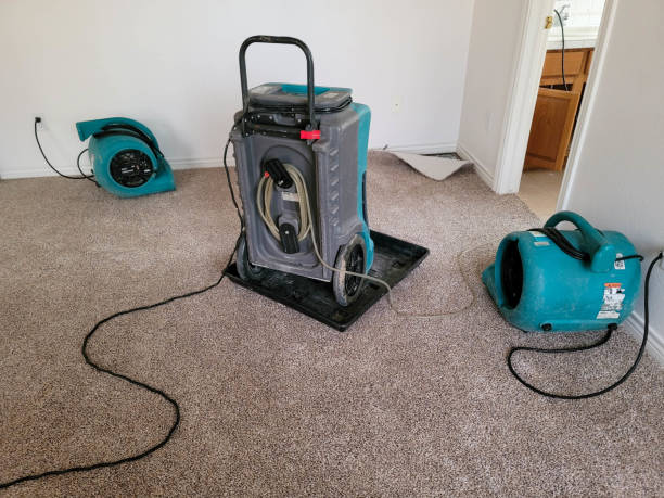 Best Basement water damage restoration  in Oak Lawn, IL
