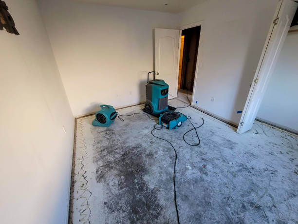 Best Flooded house restoration  in Oak Lawn, IL