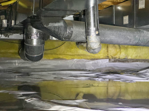 Best Water damage restoration services  in Oak Lawn, IL