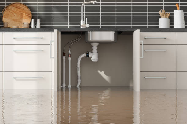 Best Water damage restoration near me  in Oak Lawn, IL