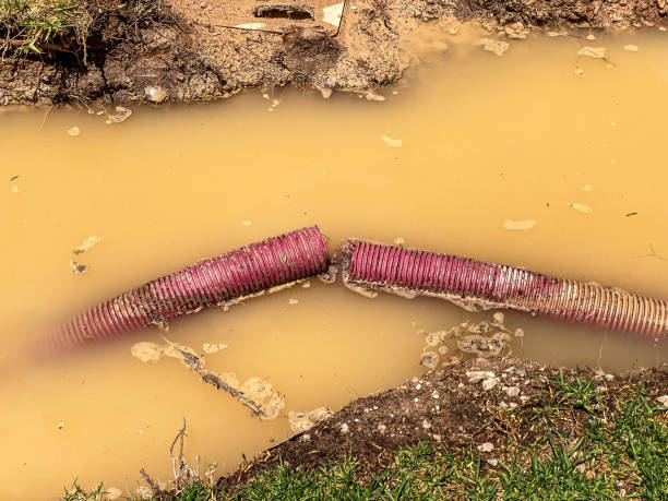 Best Emergency water damage restoration  in Oak Lawn, IL