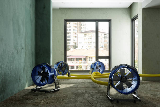 Best Water damage contractors near me  in Oak Lawn, IL