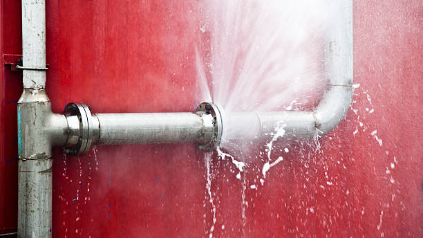Best Flood damage cleanup  in Oak Lawn, IL